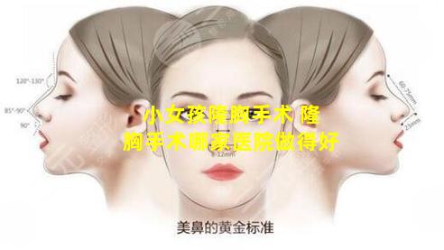 小女孩隆胸手术 隆胸手术哪家医院做得好
